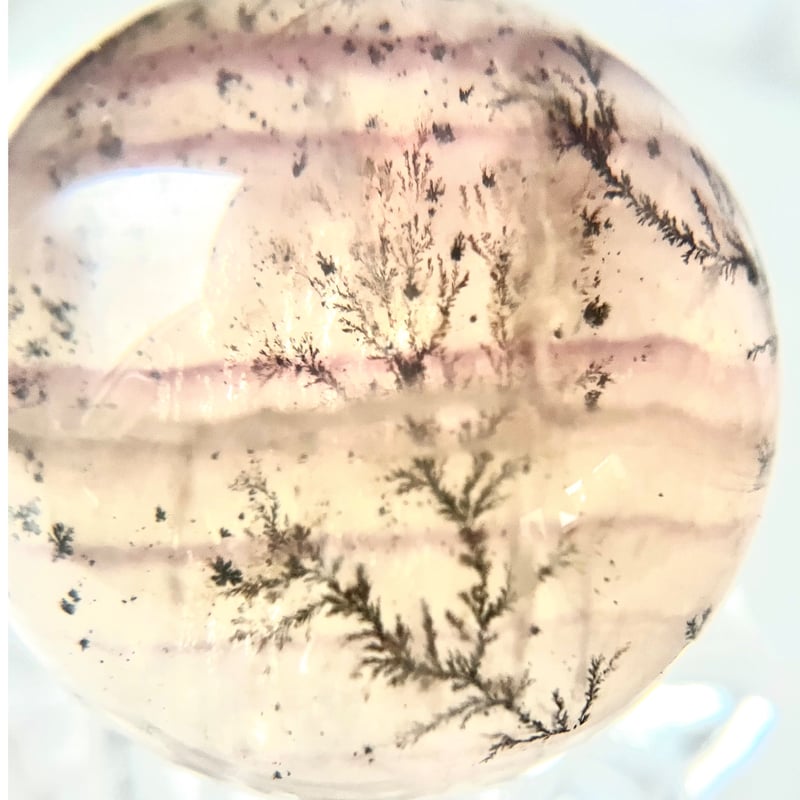 デンドリックフローライト ∴ Dendritic Fluorite ∴ 天然石・鉱物