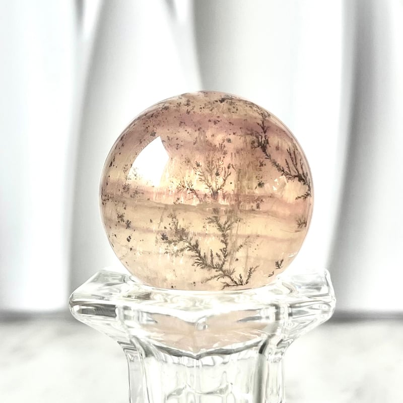 デンドリックフローライト ∴ Dendritic Fluorite ∴ 天然石・鉱物