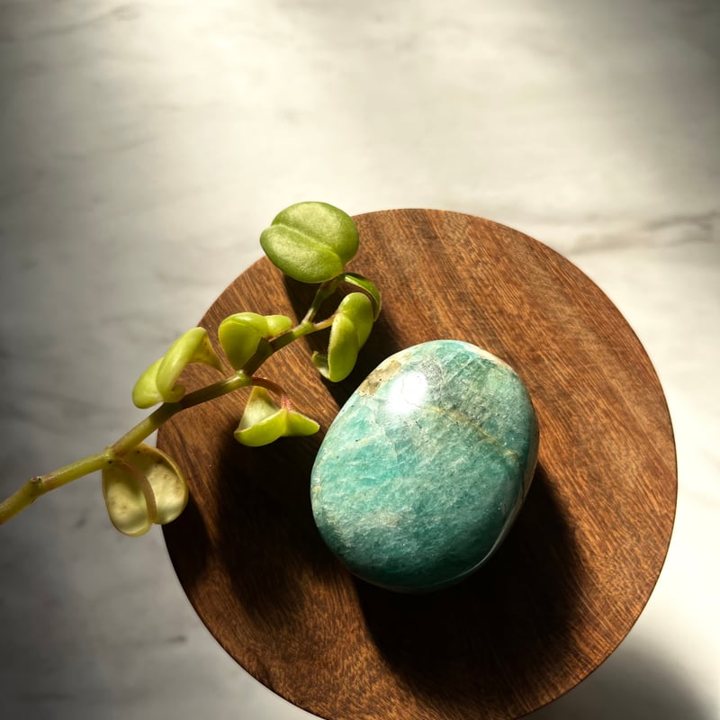 きゅう様　高品質　セレナイト　シラー　パーム　握り石 きゅう様 高品質 セレナイト シラー パーム 握り石 セレナイト パーム