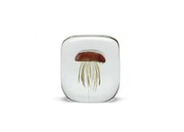 Jellyfish Paper Weight "Square" | クラゲのオブジェ