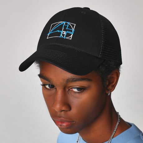 FILE_2026_1_FIBONACCI _CAP_BLUE