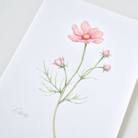 〜選べる季節のお花のアートカード〜