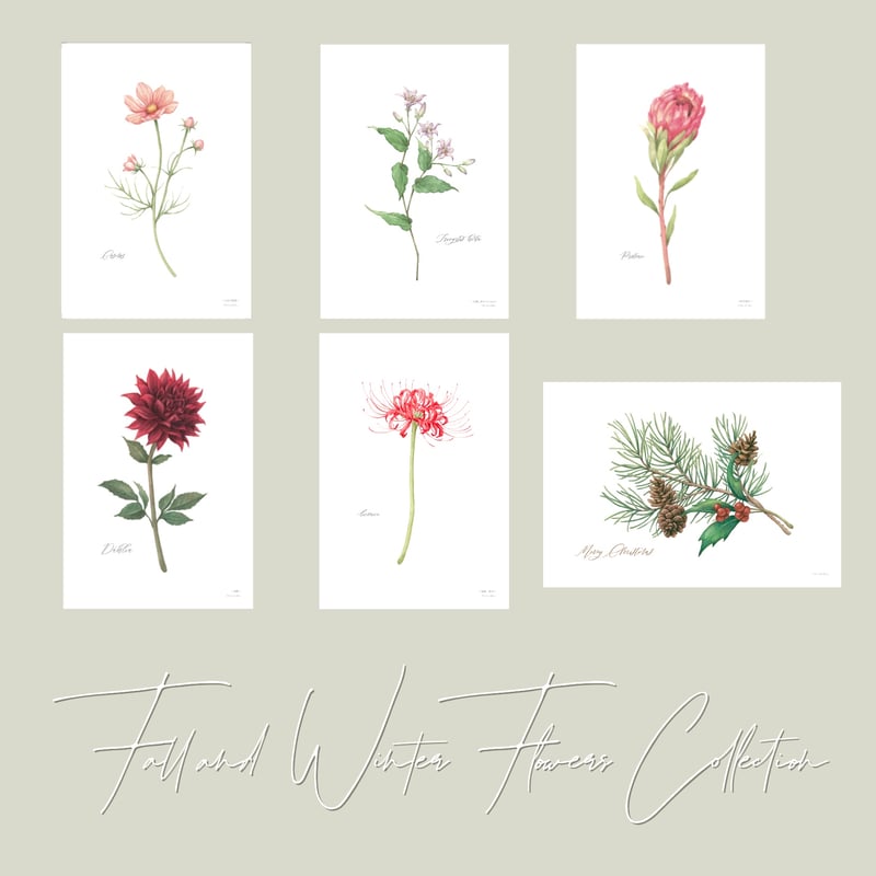 スズラン 鈴蘭 〜選べる季節のお花のアートカード〜 | Atelier