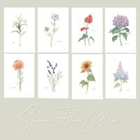〜選べる季節のお花のアートカード〜