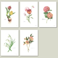 〜選べる季節のお花のアートカード〜