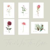 〜選べる季節のお花のアートカード〜
