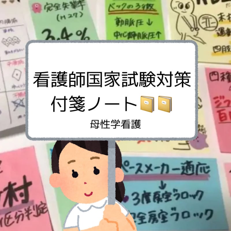 看護師国家試験】がぁきい様専用【合格ノート＋付箋＋暗記カード 