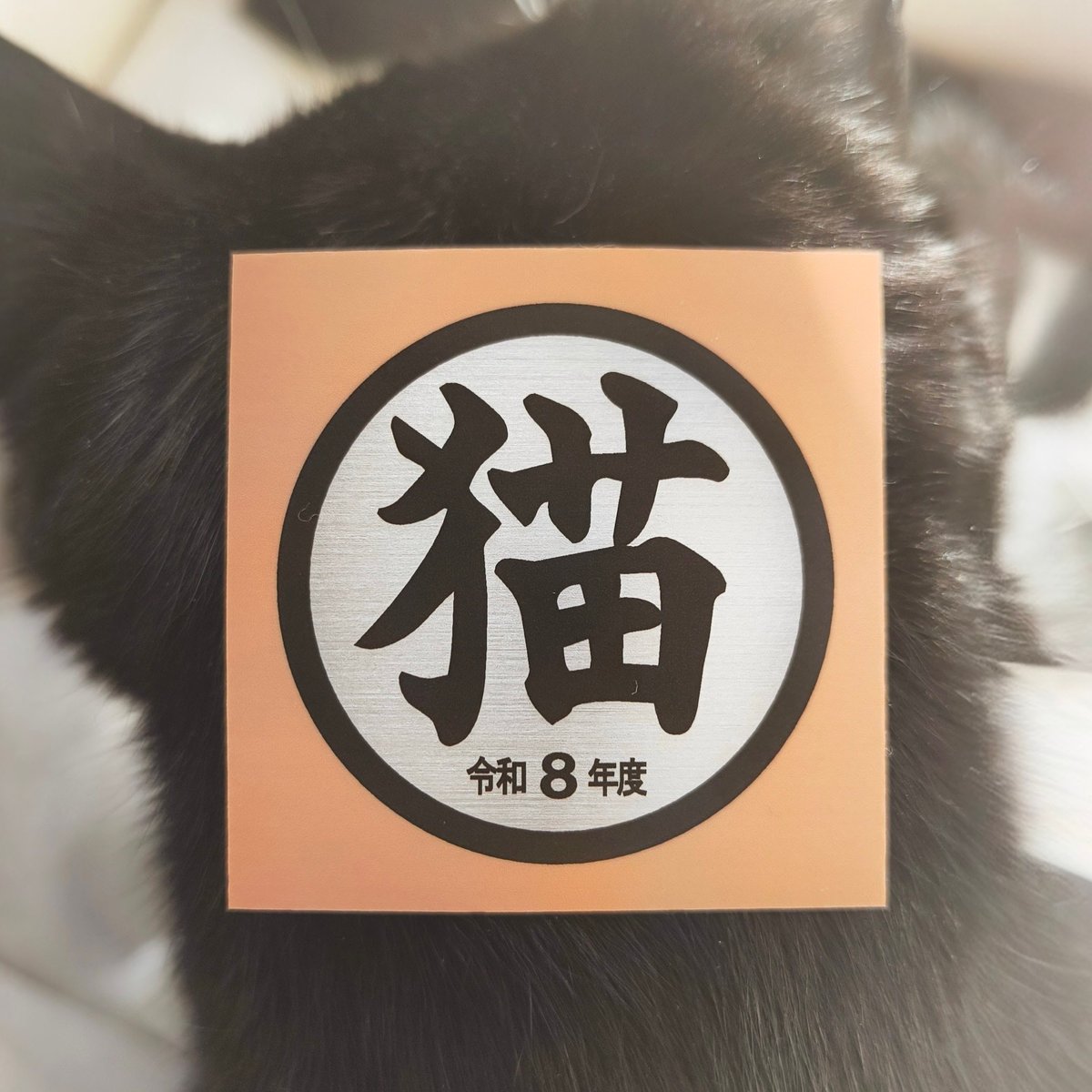 猫シール | mozukushi's STORE