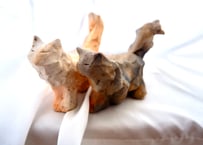 しろくろ野焼き手乗り猫