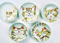 虎猫四寸皿