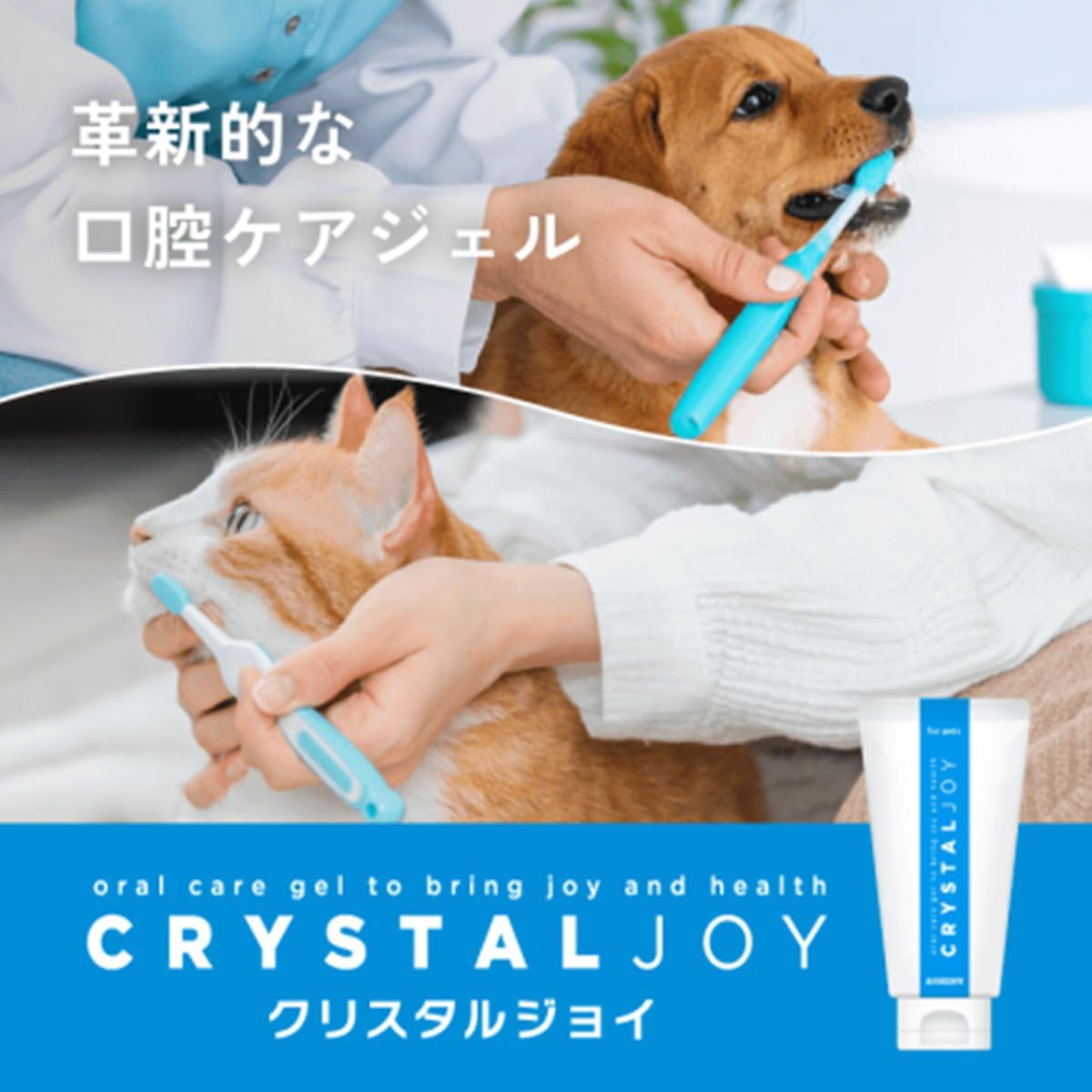 CRYSTALJOY 犬用オーラルケアジェル 60g×４本 anicom クリスタルJOY 歯磨きジェル 60g（犬猫用） | 福楽 ペット