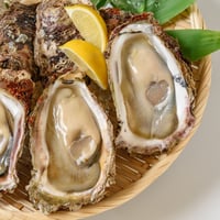 天然岩牡蠣 10kgセット(大・中・小サイズ)