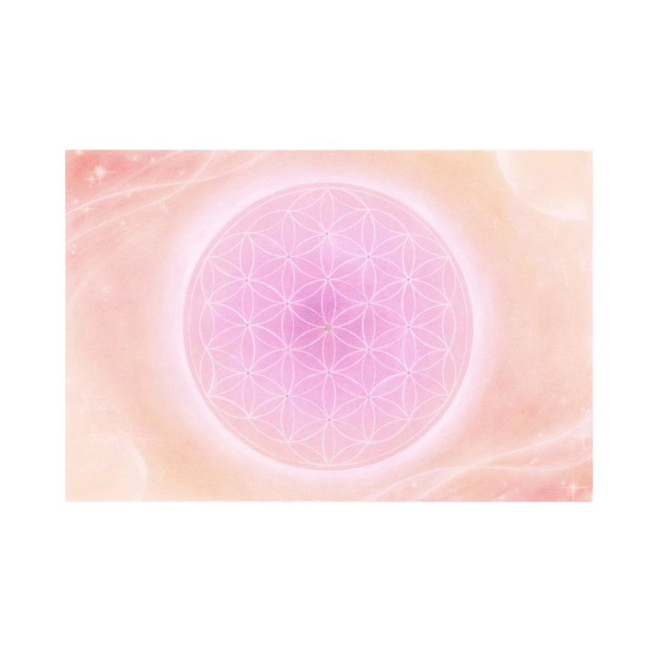 657ea957dfae5d0e57a838dd