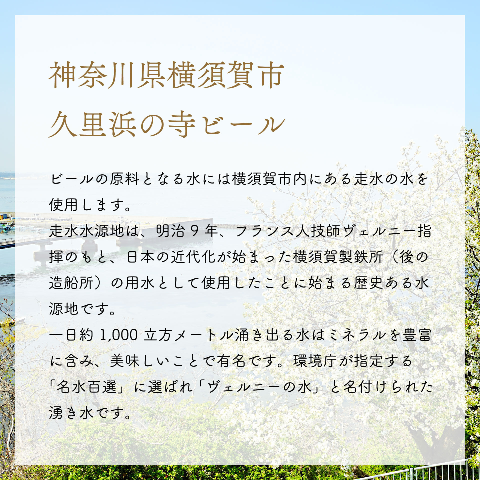限定品ビール 6本セット | 法龍山麦酒