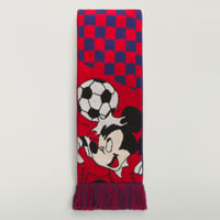 Brain Dead x adidas x Disney | SCARF