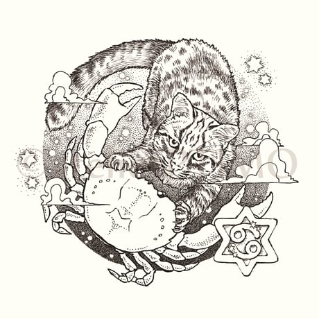 蟹座 イリオモテヤマネコ