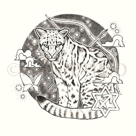 射手座 ウンピョウ