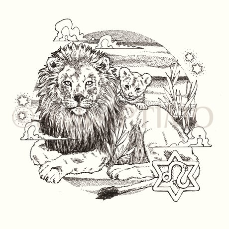 獅子座 ライオン