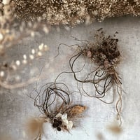 【柳の壁飾り】霞草とリューカと…