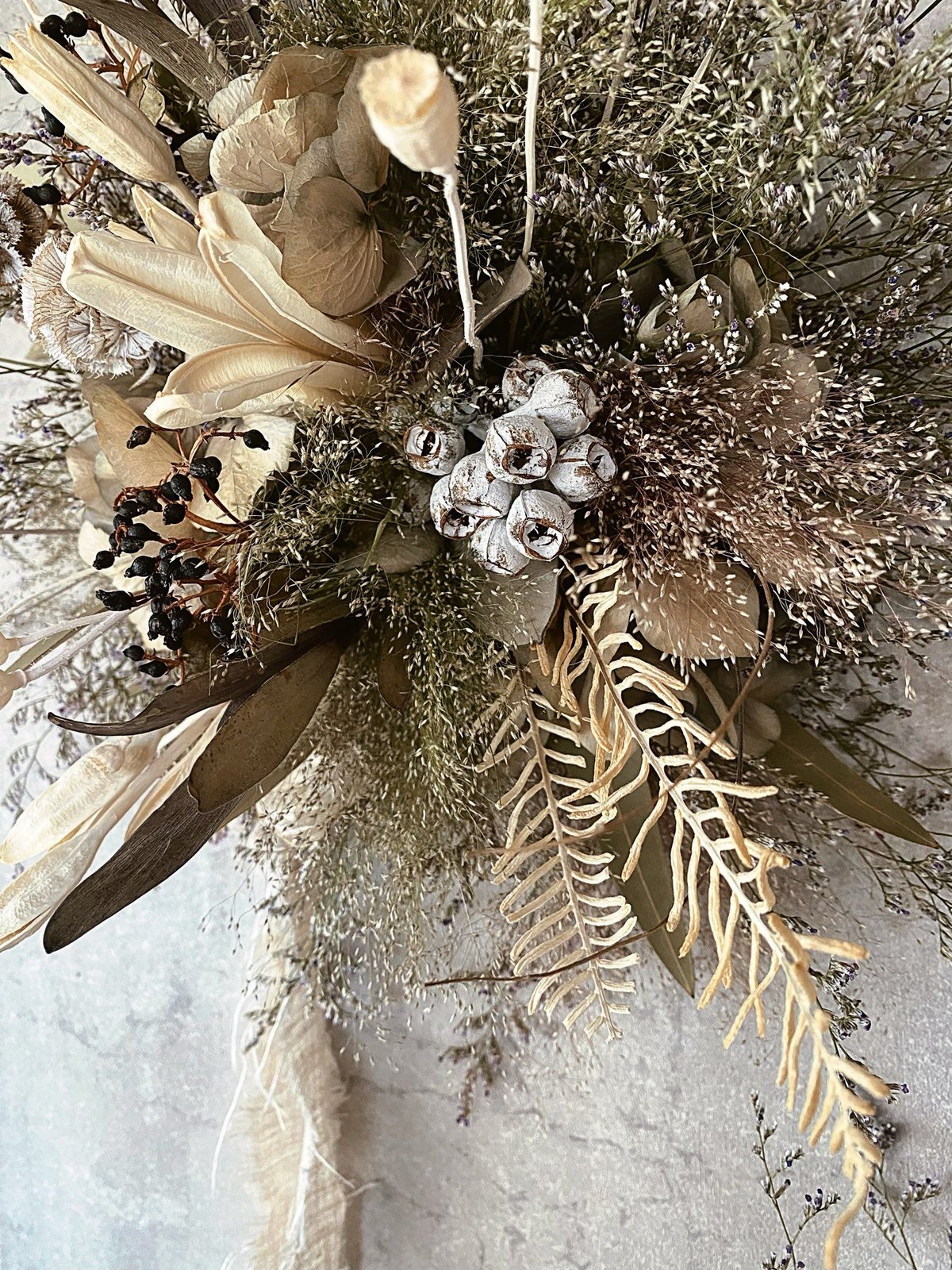 1.スターチスフライングリース 1.スターチスフライングリース