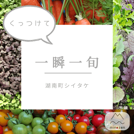 くっつけて使う〜湖南町椎茸