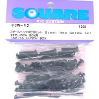 スクエア　SCW-42　スチールヘックスビスセット タミヤ LUNCH BOX 用