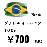 【発送】《豆》ブラジルイリシニア（100ｇ）