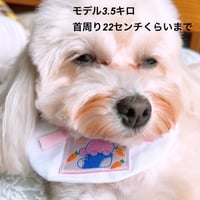 ドリームさんのスタイ・ワッペン(ピンクリボン/イエローリボン)