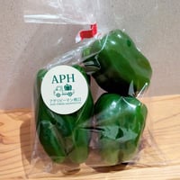 西都産ピーマン 10kg（規格外）