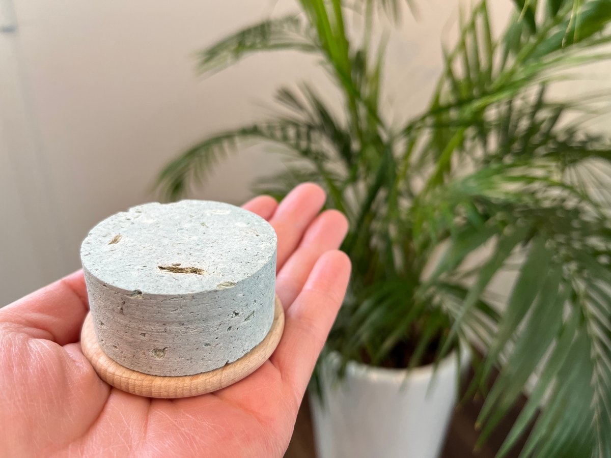 fit=scale-down,w=1200