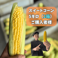 【お得】スイートコーン2箱セット（送料割引）