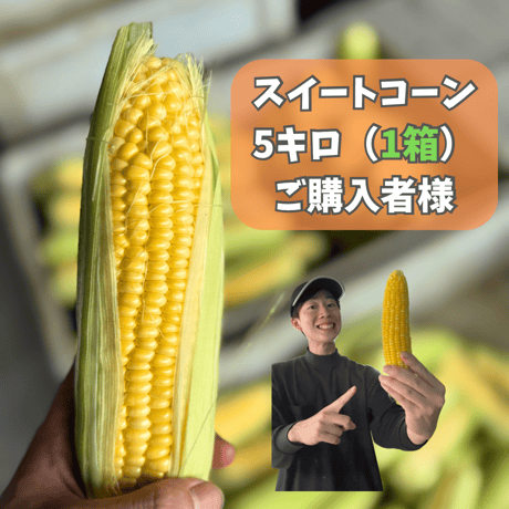 【激甘】スイートコーン1箱