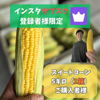 【サブスク限定】スイートコーン1箱