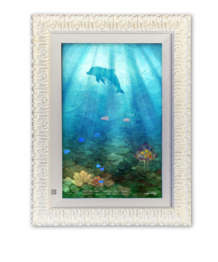 6453545fe99ff90062ed3328