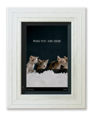 WISH YOU ARE HERE（非売品）
