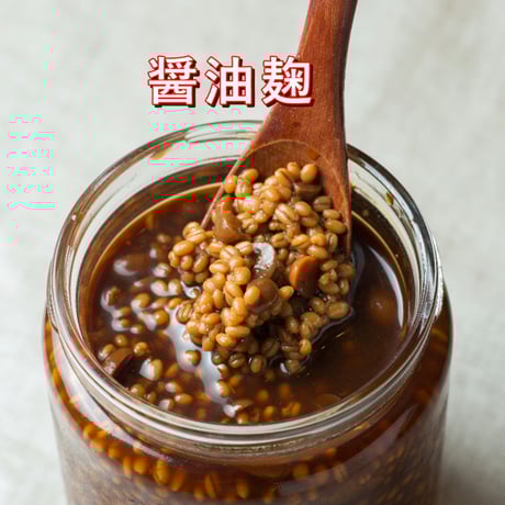 4月10日(木)【発酵食初級】豆乳ヨーグルト・甘酒・塩麹・醤油麹・発酵あんこ