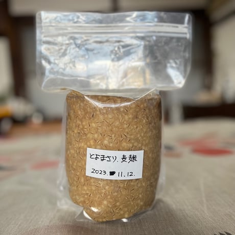 とよまさりで麦味噌作り　3月29日(土)
