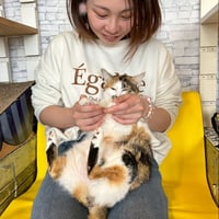 出張ペットシッター　2時間