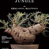 インドアジャングル　1〜3セット販売 インドアジャングル 1〜3セット販売 INDOOR JUNGLE（インドア