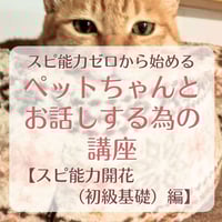 ペットちゃんとお話しする為の講座【スピ能力開花（初級基礎）編】