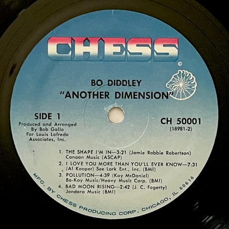 Bo Diddley - Another Dimension