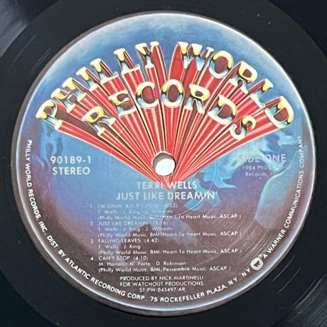 Terri Wells - Just Like Dreamin'