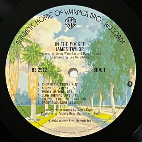James Taylor - In The Pocket