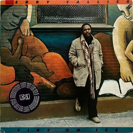 Terry Callier - Fire On Ice