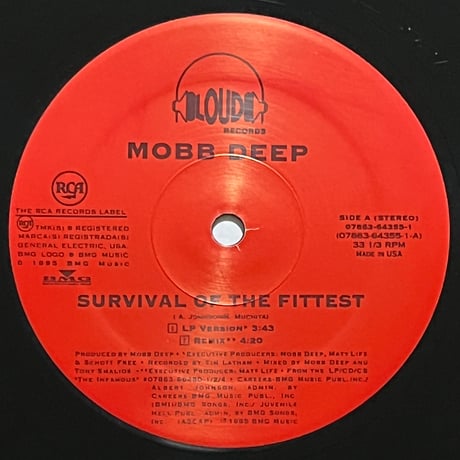 Mobb Deep - Survival Of The fittest