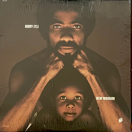 Bobby Lyle - New Warrior
