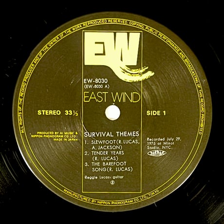Reggie Lucas - Survival Themes