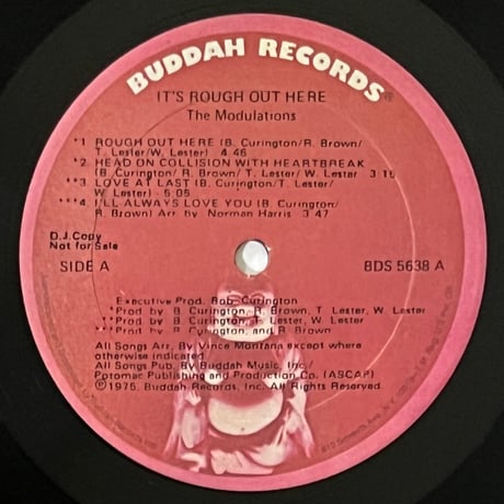 The Modulations - It's Rough Out Here