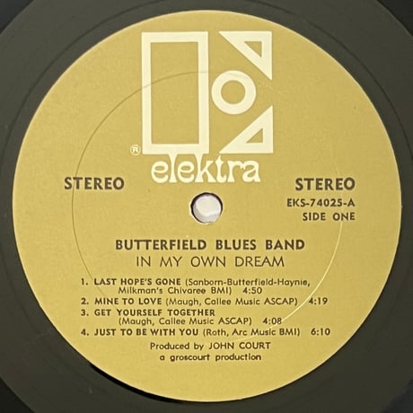 The Butterfield Blues Band - In My Own Dream