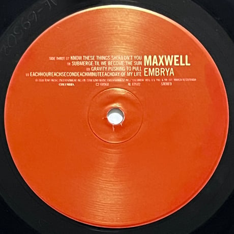 Maxwell - Embrya